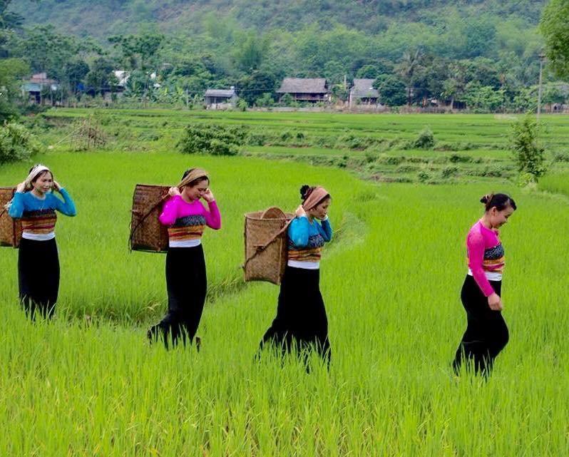 Lu'S Homestay Mai Châu Luaran gambar